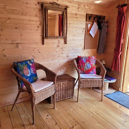 Tan Y Coed'S Rosemary Cabin Conwy Exterior photo