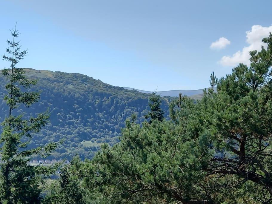 Tan Y Coed'S Rosemary Cabin Conwy Exterior photo