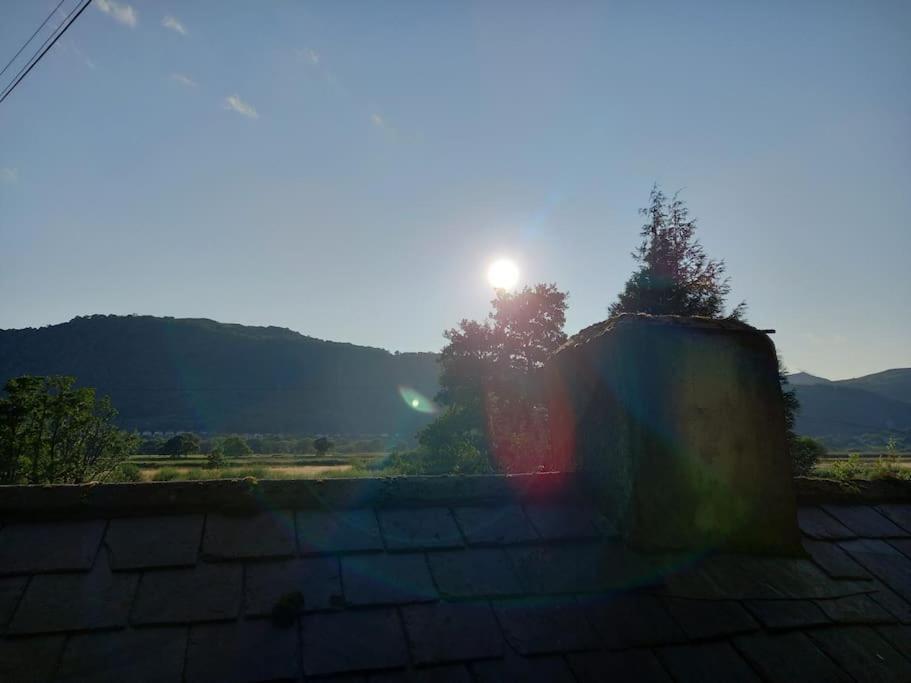Tan Y Coed'S Rosemary Cabin Conwy Exterior photo